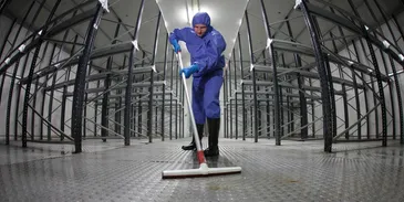 Deep Cleaning Services